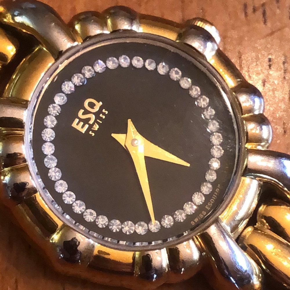 Ladies ESQ by Movado Watch - higher end watch!